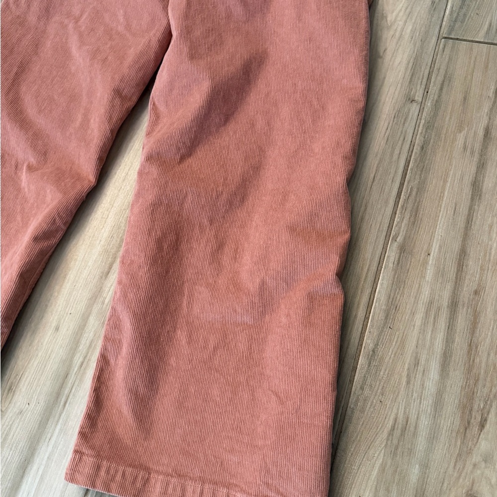 American Eagle Corduroy Pants - Picture 14 of 15
